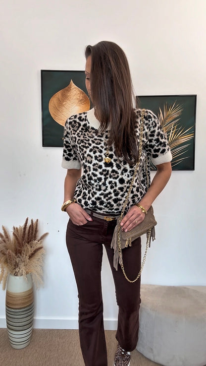 Jean MARION (le dernier 38)